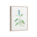 Dragon Tea Botanical Wall Art