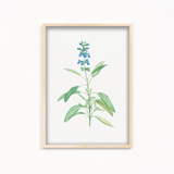 Dragon Tea Botanical Wall Art