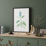 Dragon Tea Botanical Wall Art