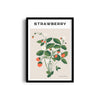 Strawberry Botanical Modern Wall Art