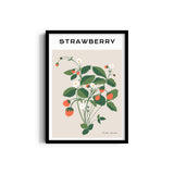 Strawberry Botanical Modern Wall Art