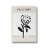Farmers Market Boho Modern Wall Art