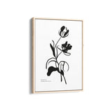Bohemian Odyssey Boho Modern Wall Art