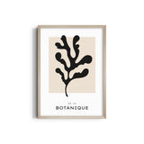 Botanique Boho Modern Wall Art