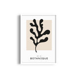 Botanique Boho Modern Wall Art
