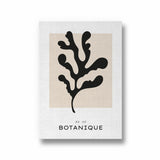Botanique Boho Modern Wall Art