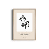 Les peches Boho Modern Wall Art