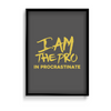 I am the pro in procrastinate Quote Wall Art - The Mortal Soul