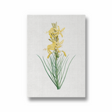 Mock Rosemary Botanical Wall Art - The Mortal Soul