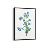 Twisted Thimbleberry Botanical Wall Art - The Mortal Soul
