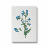 Twisted Thimbleberry Botanical Wall Art - The Mortal Soul