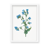 Twisted Thimbleberry Botanical Wall Art