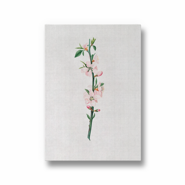 Blessed Nightshade Botanical Wall Art - The Mortal Soul