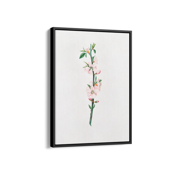 Blessed Nightshade Botanical Wall Art - The Mortal Soul