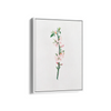Blessed Nightshade Botanical Wall Art - The Mortal Soul
