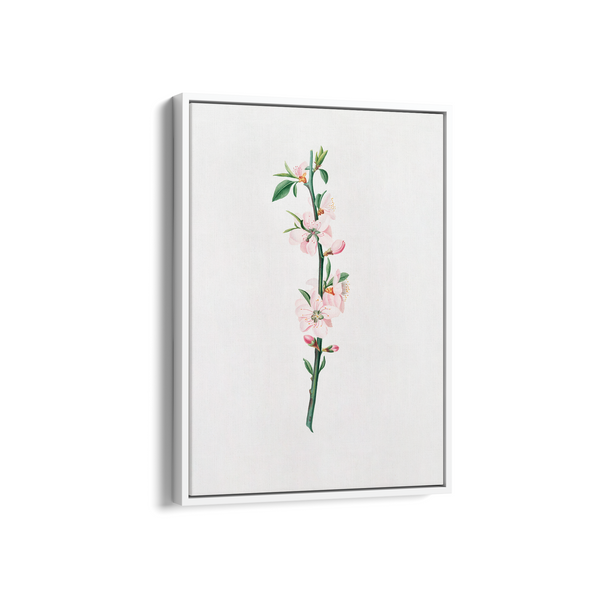 Blessed Nightshade Botanical Wall Art - The Mortal Soul