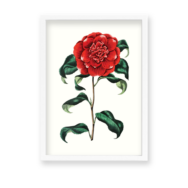 Cramire Botanical Wall Art