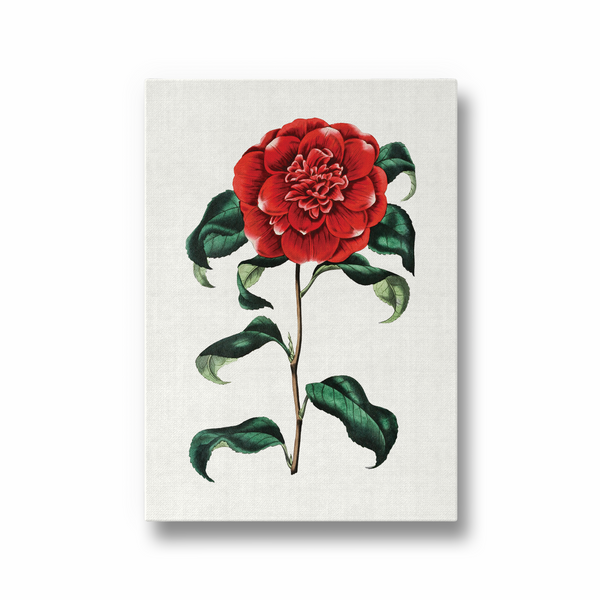 Cramire Botanical Wall Art