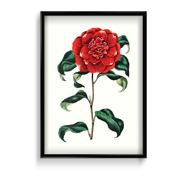 Cramire Botanical Wall Art