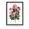 Majestic Felonwood Botanical Wall Art