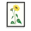 Etralda Botanical Wall Art