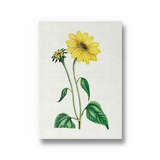 Etralda Botanical Wall Art
