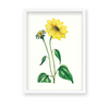 Etralda Botanical Wall Art