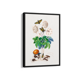 Chard Botanical Wall Art - The Mortal Soul