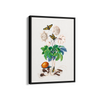 Chard Botanical Wall Art - The Mortal Soul