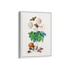 Chard Botanical Wall Art - The Mortal Soul