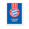 FC Bayern Munich Premium Wall Art - The Mortal Soul