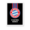 FC Bayern Munich Dark Premium Wall Art - The Mortal Soul