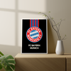 FC Bayern Munich Dark Premium Wall Art - The Mortal Soul