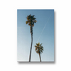 Two Beach Trees Wall Art - The Mortal Soul