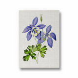 Owosie Botanical Wall Art - The Mortal Soul