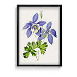 Owosie Botanical Wall Art