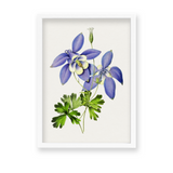 Owosie Botanical Wall Art