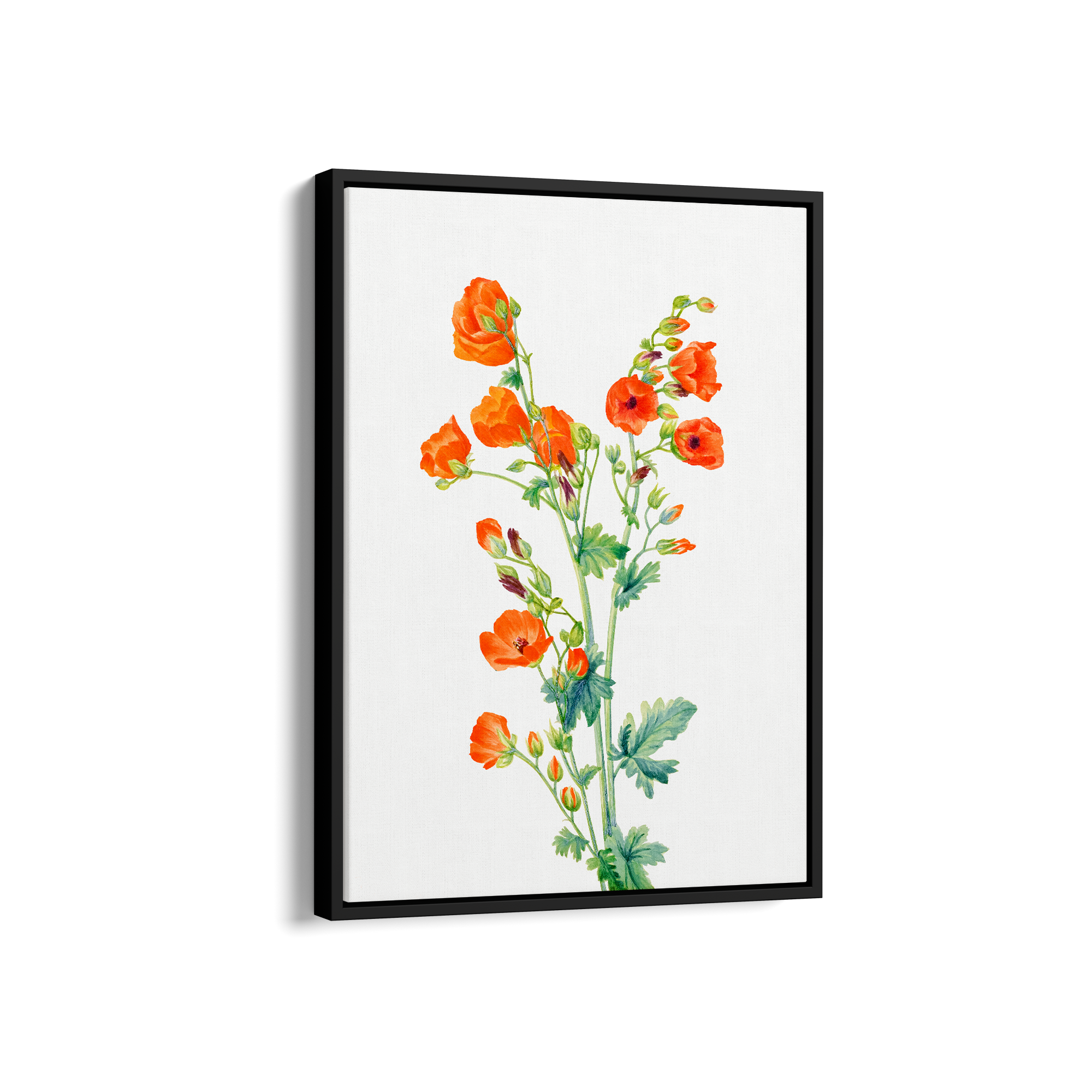 Opradac Botanical Wall Art - The Mortal Soul