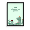 Bloom where you are planted - The Mortal Soul