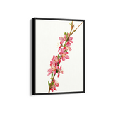 Lion Ambrosia Botanical Wall Art - The Mortal Soul