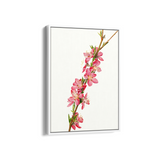 Lion Ambrosia Botanical Wall Art - The Mortal Soul