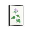 Canis Shadblow Botanical Wall Art - The Mortal Soul