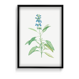 Dragon Tea Botanical Wall Art