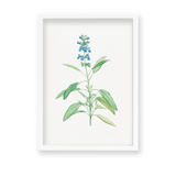 Dragon Tea Botanical Wall Art