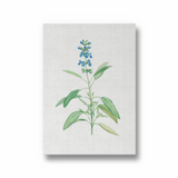 Dragon Tea Botanical Wall Art - The Mortal Soul