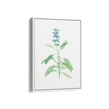 Dragon Tea Botanical Wall Art - The Mortal Soul