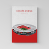 Emirates Stadium Arsenal F.C. Wall Art - The Mortal Soul
